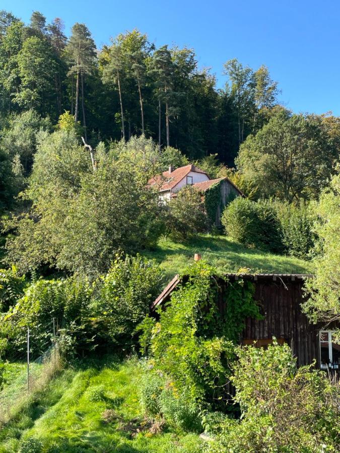 Mon Refuge En Vasgovie Apartment Meisenthal Екстериор снимка