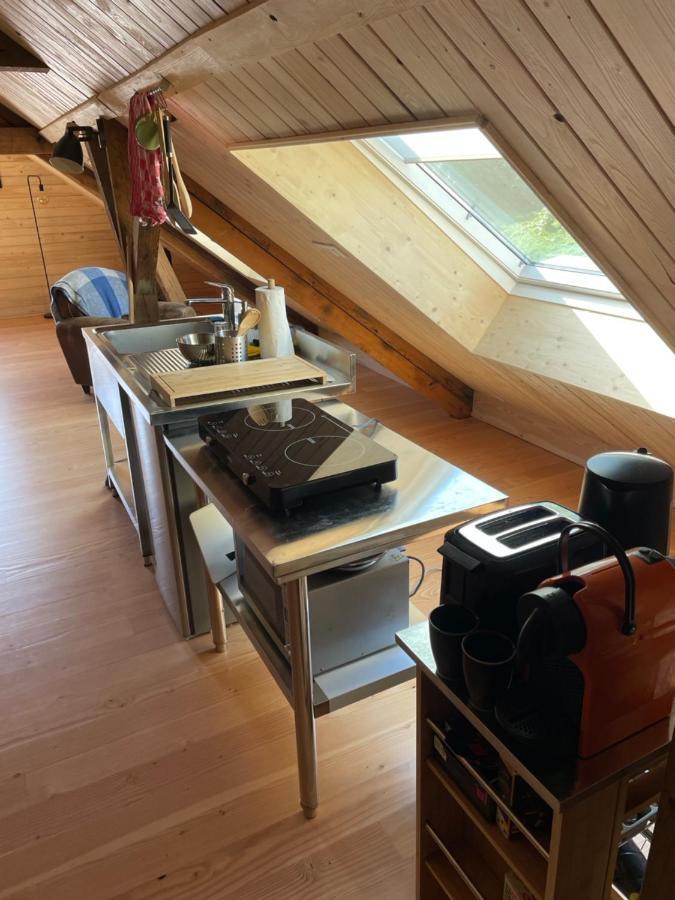 Mon Refuge En Vasgovie Apartment Meisenthal Екстериор снимка