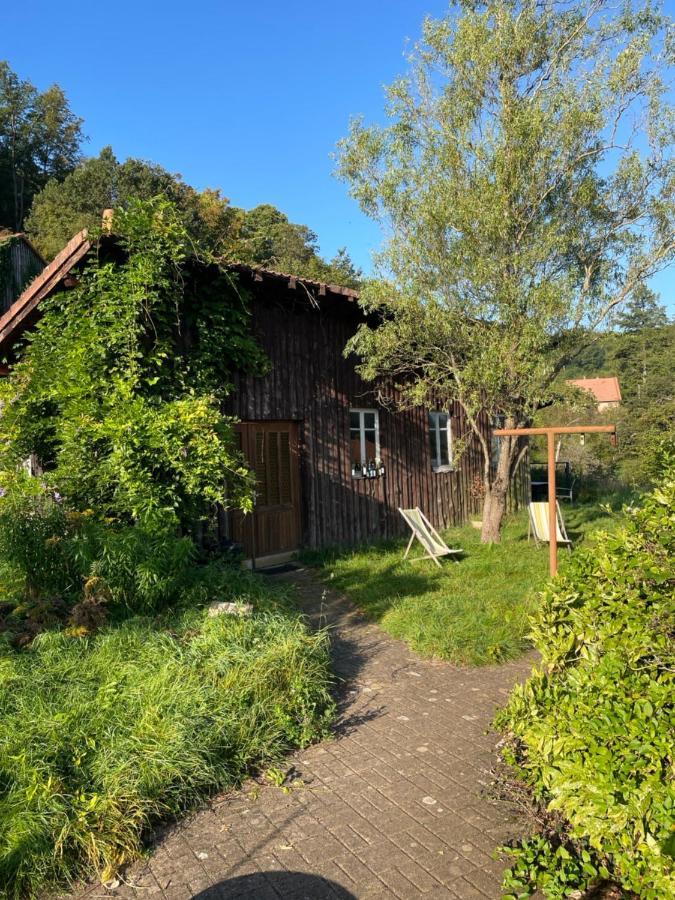 Mon Refuge En Vasgovie Apartment Meisenthal Екстериор снимка