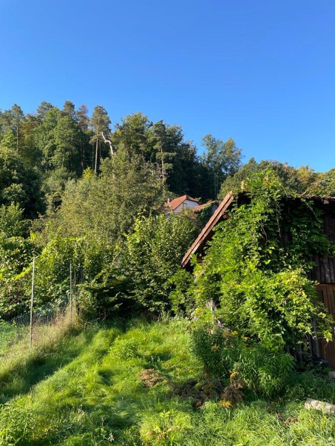 Mon Refuge En Vasgovie Apartment Meisenthal Екстериор снимка